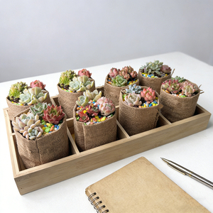 Vaso in Iuta Naturale Personalizzato OEM, Realizzato in Fabbrica, Sacchetto per Coltivazione in Tessuto di Iuta, <span class=keywords><strong>Borsa</strong></span> <span class=keywords><strong>da</strong></span> Giardino Ecologica in Iuta con Rivestimento in PE per Piante - Product Image 4