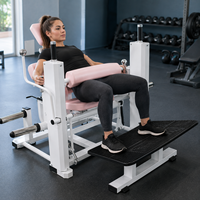 Machine à Hip Thrust à charge libre pour usage commercial, équipement de fitness pour l'entraînement de la force des fessiers et du pont fessier, destiné aux fabricants de matériel de gym professionnel