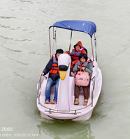 Bateaux à pédales en PE pour parc aquatique, bateaux à pédales en forme de cygne