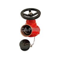 Vanne d'incendie à corps en fonte ductile et poignée en laiton, 2 pouces, accessoire pour hydrant d'incendie
