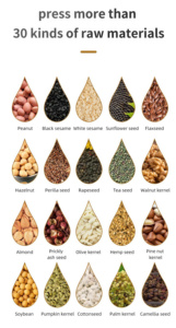 Presse à huile 4 têtes pour arachides, sésame, tournesol, noix de coco, soja, avocat, palme et graines de cacao - Product Image 5