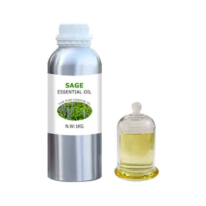 High Quality Plant Extracts Body Massage Long Lasting Perfume Fragrance Essential Oil For Men