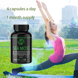Cápsulas de Musgo Irlandés Orgánico OEM/ODM 2400 mg - Raíz de Bardana y Polvo de Alga Marina Real para el Apoyo Inmunológico - Product Image 4