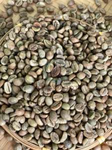 Green Coffee <b>Beans</b> Robusta Size 16 Vietnam Origin A 60kg A Plus 95 To 99% Purity Bulk <b>Bags</b> High Quality - Product Image 6