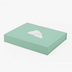 Juegos de Joyería de Moda Reutilizables, Cajas de Embalaje de Lujo con Tapa Magnética de Cartón Verde Pálido, Diseño de Marca Blanca Personalizado - Product Image 3