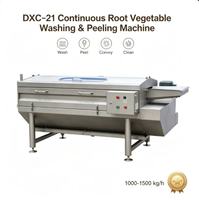 DXC-21 Continue Wortelgroentewas- en Schilmachine SUS304 RVS Aardappel Gember Wortel Verwerkingsapparatuur