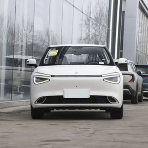 Dongfeng Nano 01 330 км, сделано в Китае, лидер продаж, новый электрический автомобиль, хорошая цена, 5 дверей, 5 мест, <span class=keywords><strong>2</strong></span> коробки - Product Image 5