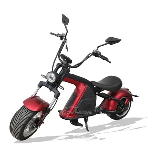 Chopper off road Holland kho bánh xe lớn citycoco điện Scooter EEC coc phê duyệt điện citycoco 2 ruote Scooter
