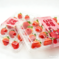 Boîte d'emballage en plastique transparente pour fraises, 9, 11, 15, 20, 24, 28 cellules, en PET recyclé, avec étiquette et doublure en mousse