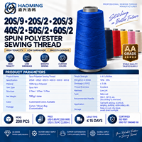 20S/9 20S/2 20S/3 40S/2 50S/2 60S/2 Benang Jahit Poliester 100% Spun Berwarna 100g Cone Kekuatan Tinggi untuk Jahitan Industri Garmen