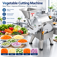 Commerciële automatische machine voor het snijden, schijven en raspen van wortelgroenten van roestvrij staal, geschikt voor aardappel, komkommer en wortel.