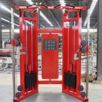Appareil de musculation commercial pour salle de sport, machine d'exercice musculaire, petit appareil de musculation multifonctionnel, petit glisseur d'entraînement Little Bird