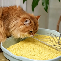 Litière pour chat biodégradable à base de millet végétal, écologique, jetable dans les toilettes, agglomération rapide, faible poussière, contrôle des odeurs, hautement absorbante, granulés brisés