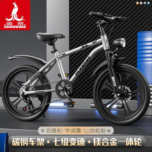 Bicicleta Phoenix para niños de 18 a 20 pulgadas con horquilla de aluminio y freno para niñas de 6 a 15 años - Product Image 1
