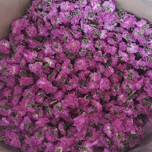 Boccioli di <span class=keywords><strong>Rosa</strong></span> Damascena Biologica 5A <span class=keywords><strong>Rosa</strong></span> Damascato, Essiccati a Mano, Commestibili, dalla Bulgaria, Confezione Personalizzata OEM per Tè/Olio/Bagno, 500g/Sacchetto - Product Image 1