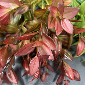 QSLH G-118 all'ingrosso piccole piante artificiali piante verdi 30cm 5 forchette piccolo bouquet colorato erba artificiale foglie artificiali - Product Image 6