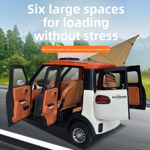 Triciclo Elettrico Completamente Chiuso per Uso Domestico, Veicolo per il Trasporto Anziani e per Donne che Accompagnano e Scolgono i Figli - Product Image 5