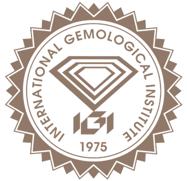 IGI icon