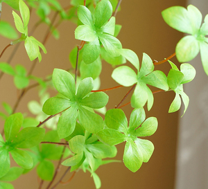 Vente en gros usine de feuilles artificielles en plastique d'Enkianthus Perulatus (Campanule <span class=keywords><strong>japonaise</strong></span>), branche de verdure au toucher réel pour la décoration de table à la maison - Product Image 2