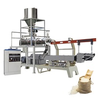 Ligne de production de riz fortifié et instantané à haute capacité, équipement commercial de fabrication de riz pour usine alimentaire