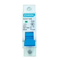 Disjoncteur miniature DZ47-63 1P 110V 20A 6KA, type C, montage sur rail DIN, pour la protection domestique et industrielle