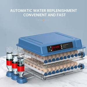 Incubateur à œufs en <span class=keywords><strong>vente</strong></span> chaude, incubateur entièrement automatique, machine à éclosion <span class=keywords><strong>de</strong></span> 192 œufs avec double alimentation - Product Image 1