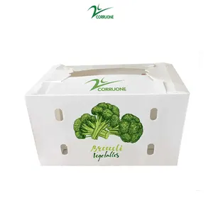 polypropylene plastic box organic vegetable foldable honeycomb pp grape packaging banana plain asparagus corrugated for fruit