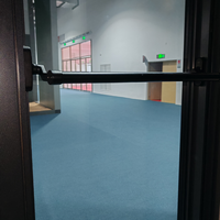 Porte décorative en verre insonorisée Isolation thermique Porte d'entrée réglable en aluminium à couper le souffle Porte à double charnière