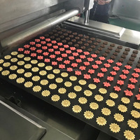 Machine à biscuits au chocolat Double couleur, ligne de Production de biscuits Double couleur