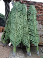 Grandes Fausses Plantes Tropicales 4m 5m 3/5/6/7/8 Mètres de Hauteur 14 Ft 10m de Haut Grands Cocotiers Artificiels Extérieur