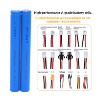 Batterie au lithium Weixin 10840 3.7V 750mAh fabriquée en Chine, mini stylo lumineux, stylo lumineux dentaire, électronique grand public, cellule neuve