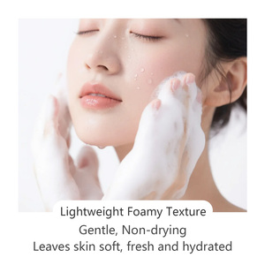 Limpiador <span class=keywords><strong>Facial</strong></span> en Gel-Mousse Orgánico Personalizado <span class=keywords><strong>de</strong></span> Fábrica: Hidratante, Humectante, No Reseca y Limpia en Profundidad - Product Image 6