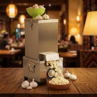 Machine à éplucher l'ail électrique commerciale 200W, 25KG/H, en acier inoxydable, éplucheur d'ail automatique pour usage en restaurant