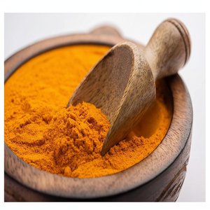 Prix de gros Qualité d'exportation 100% Poudre d'extrait naturel de curcumine pour les acheteurs authentiques de la poudre Haldi du meilleur fabricant - Product Image 1