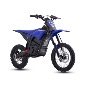 72V tỷ lệ điện 2000W đỉnh điện 4000W 25 km/h 75 km/h EK EX X21 Max tàng hình bummer Mini Ebike điện xe đạp bụi bẩn - Product Image 1