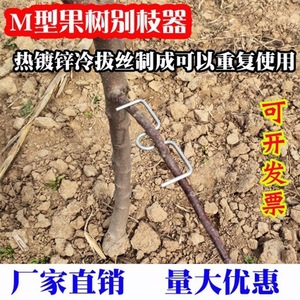 Dezhu M Type Fruit Tree Branch <b>Puller</b> Hot Dip Galvanized Steel Wire Agricultural Planting <b>Tool</b> - Product Image 4