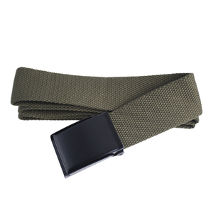 Pantalones vaqueros informales atractivos para <span class=keywords><strong>mujer</strong></span>, cinturones de tela de poliéster de Color con logotipo personalizado con hebilla de aleación, cinturones personalizados de lona al por mayor - Product Image 4