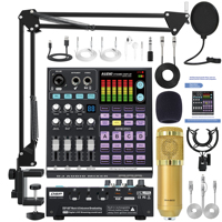 Ensemble d'équipement de podcast SN800, table de mixage audio professionnelle avec microphone à condensateur et casque de monitoring pour l'enregistrement en studio
