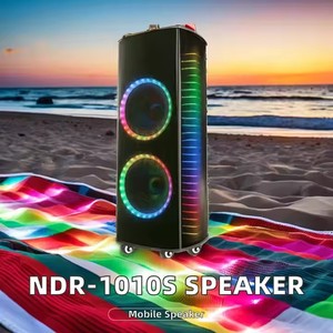 Ndr-1010S Rạp Hát Tại Nhà Hệ Thống Karaoke 100W Bass Kép 10-Inch RGB LED Chiếu Sáng Chất Lượng Cao Ban Đầu Lớn Vách Ngăn Loa AUX - Product Image 4