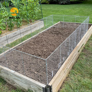 Cloches en fil Samp gratuites Cloche en fil de poulet à l'épreuve des écureuils Empêcher les animaux de <span class=keywords><strong>manger</strong></span> des plantes Couvercle en métal Protection de la cage - Product Image 3