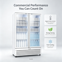 Vitrine réfrigérée blanche à deux portes avec refroidissement direct basé sur le sol et conception conforme aux normes pour la vente au détail commerciale