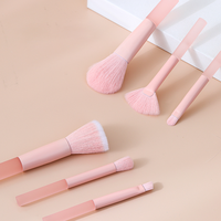 Pinceau correcteur pour le visage, portable, 6 pièces, boîte pour animaux de compagnie, yeux, haute valeur esthétique, cœur de fille, transparent, rose, fond plat, détail halo, teinture