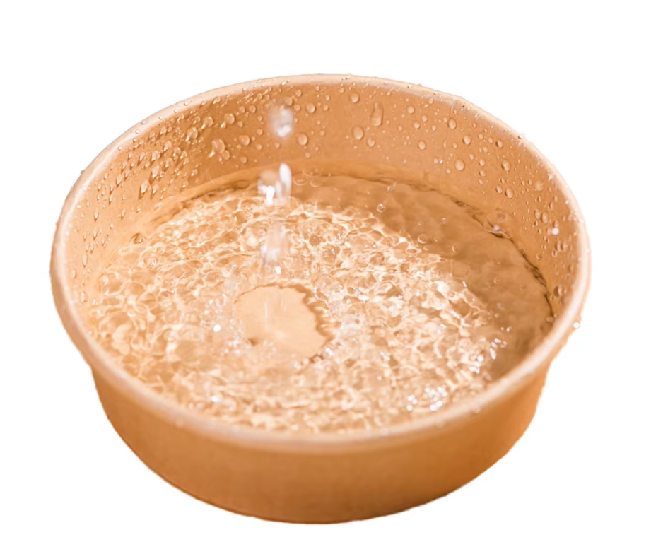 Food Grade Reusable Disposable Biodegradable Paper Salad Bowl Soup Plate Snack Eco-Friendly Cups Customizable