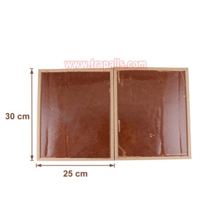 Piège à colle pour rongeurs extra large et épaissi pour entrepôt et sous-sol, avec adhésif super puissant, attrape-souris - Product Image 2