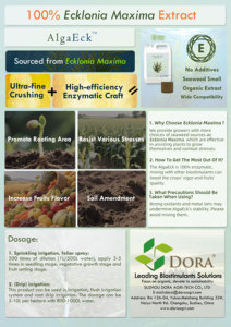 <span class=keywords><strong>ปุ๋ย</strong></span>น้ำซุปพืชทะเลออร์แกนิค ซุปเปอร์โกรว์  สำหรับมะเขือเทศและ<span class=keywords><strong>มัน</strong></span>สำ<span class=keywords><strong>ปะ</strong></span><span class=keywords><strong>หลัง</strong></span> - Product Image 4