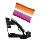 Drapeau de fenêtre de voiture personnalisé Wlw Lesbian Auto 12x18 pouces, décoration de défilé du Mois de fierté de juin, orange et rose, directement de l'usine