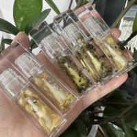 Teinte à lèvres hydratante longue durée waterproof sous marque privée, brillant à lèvres transparent en gros, huile à lèvres à la rose