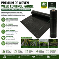 Toile de paillage anti-mauvaises herbes en PP tissé noir pour jardin, aménagement paysager et agriculture