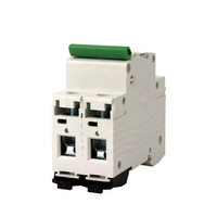 Usine directe 20A 25A 32A 40A 63A 6kA disjoncteur Miniature 2P cuivre MCB disjoncteur pour AC DC
