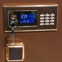 Vente en gros en usine Coffre-fort de luxe pour maison et bureau avec écran LED Coffre-fort pour meubles numériques anti-effraction